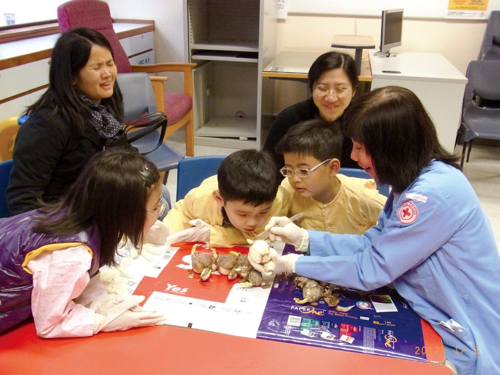 香港紅十字會醫院學校 與病童同行六十五載_黃巴士