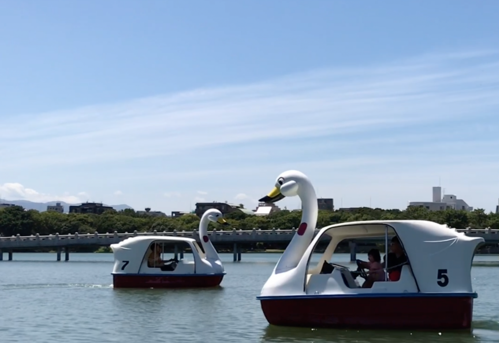 【福岡親子遊】80年歷史大濠公園 賞湖景踩天鵝船_日本親子遊_黃巴士