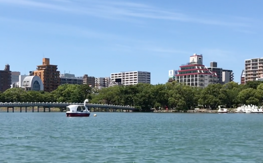 【福岡親子遊】80年歷史大濠公園 賞湖景踩天鵝船_日本親子遊_黃巴士