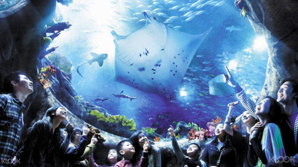 【2019復活節好去處】海洋公園新優惠 購成人門票送小童票門票