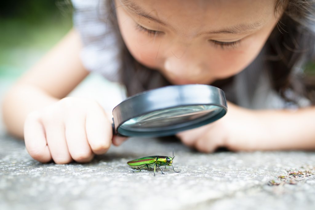 2019城市自然挑戰賽 發掘生物多樣性_黃巴士