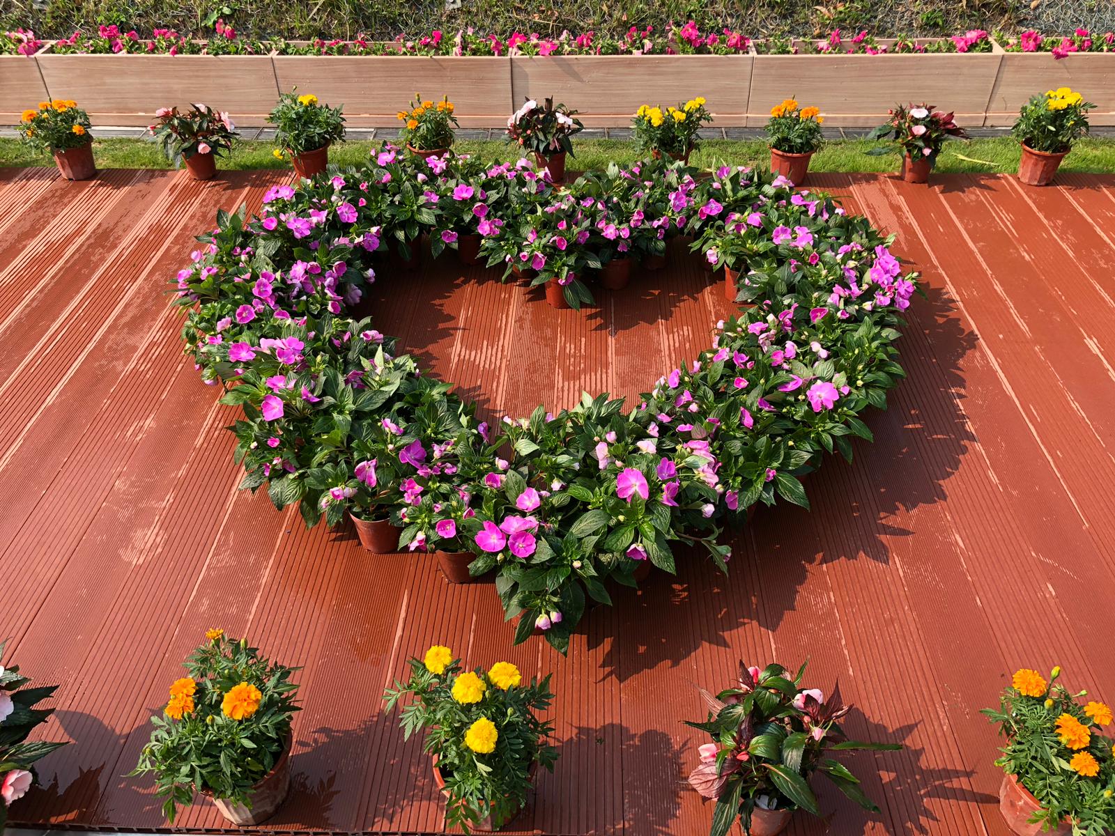 政府和合石建「永愛園」安放流產胎兒_黃巴士