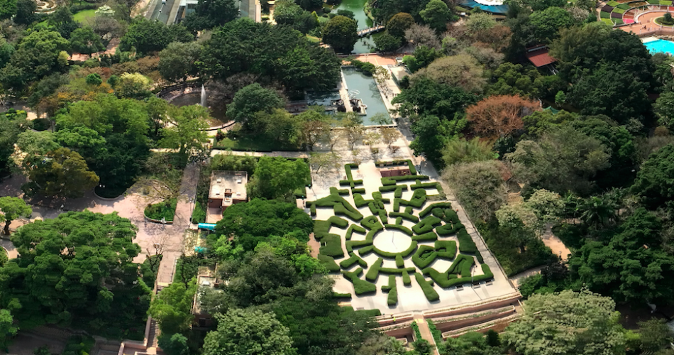 九龍公園 地下空間-迷宮花園 回憶_黃巴士