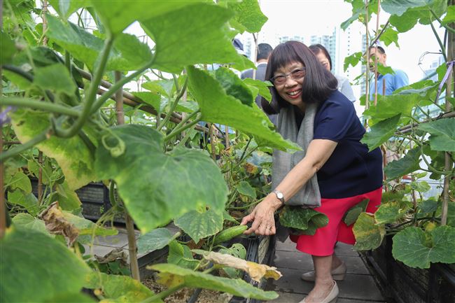 英華小學校長林浣心 退休前委任為太平紳士_黃巴士