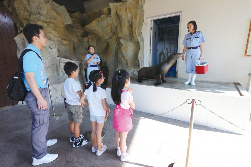 海洋公園學院_探索歷險課程_黃巴士